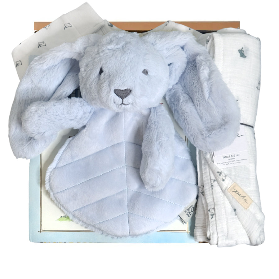 Baby Bunny Gift Box - HoneyBug