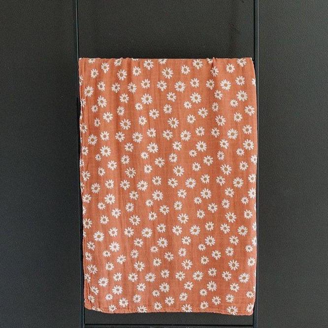 Arizona Daisy Gift Box - HoneyBug
