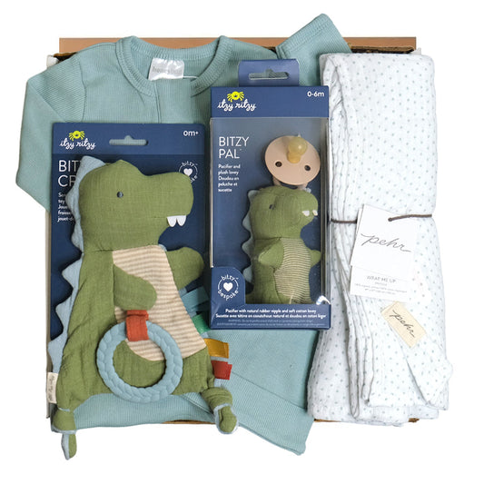 Animal Adventure Gift Box - Dino - HoneyBug 